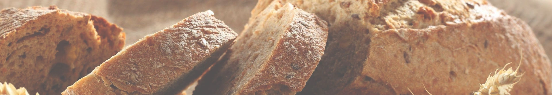 شريكك الموثوق لمعدات تجهيز الأغذية