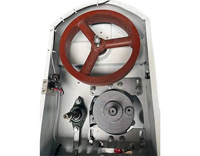 عجانات حلزونية