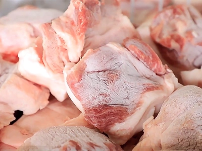 نتائج الفرم