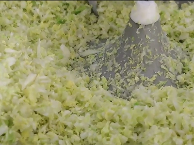 نتائج فرم الخضروات