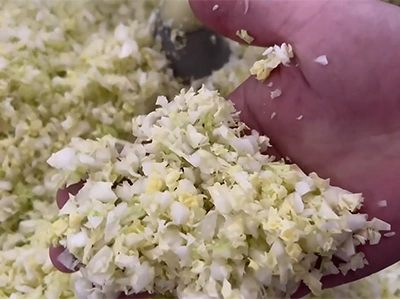 نتائج فرم الخضروات